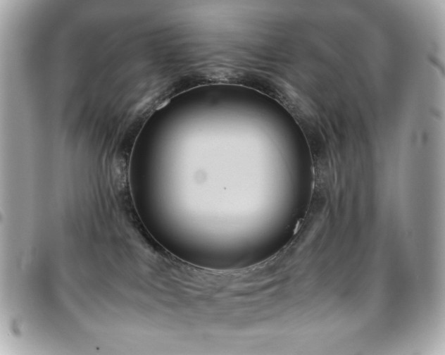 X0000096460043200801241416
