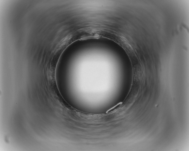 X0000096460044200801241416