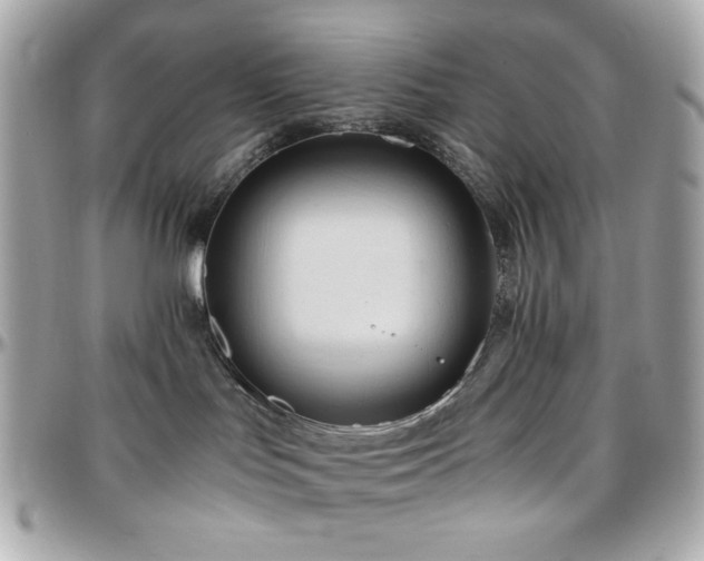 X0000096460047200801241416