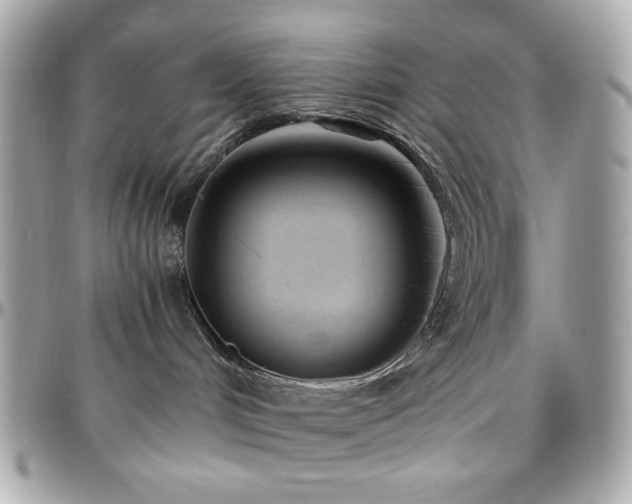 X0000096460048200801241416