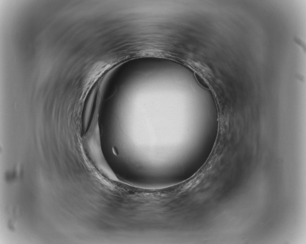 X0000096460049200801241415