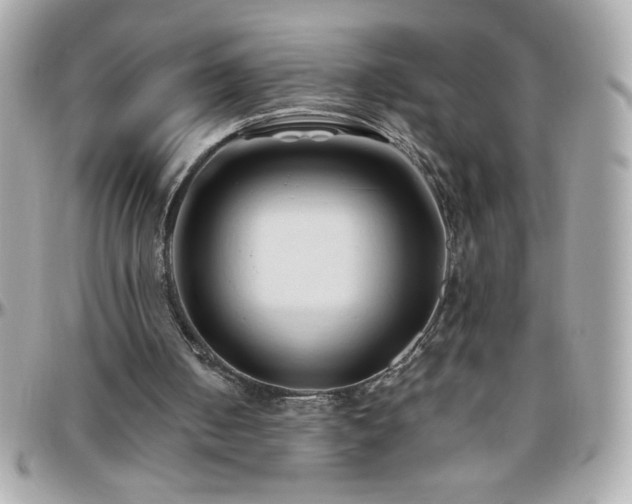 X0000096460050200801241415
