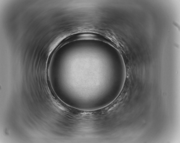 X0000096460052200801241415