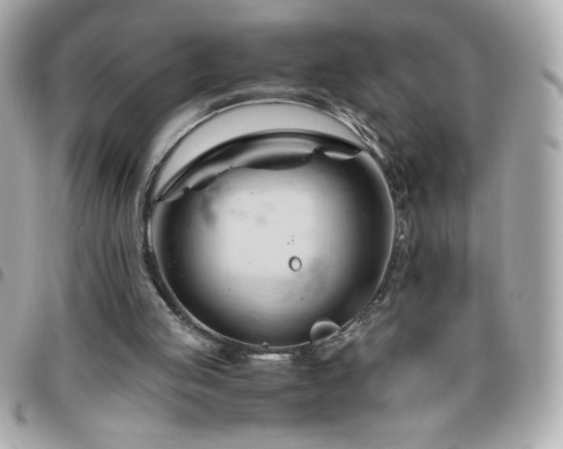 X0000096460053200801241415