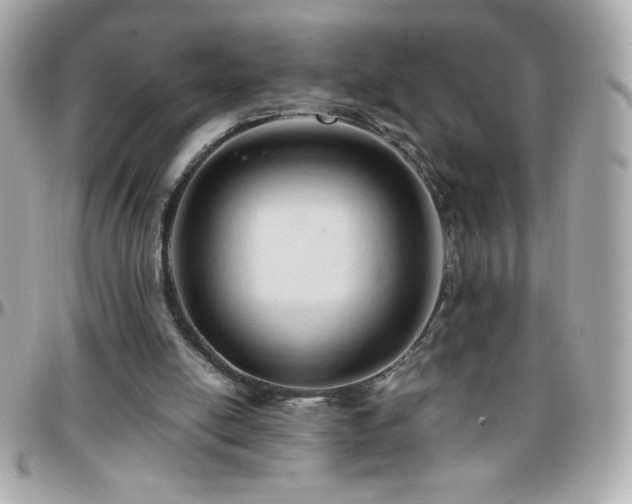 X0000096460054200801241415