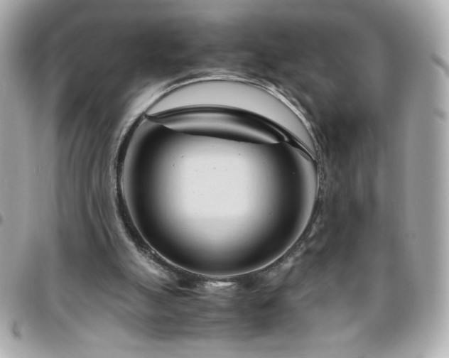X0000096460055200801241415