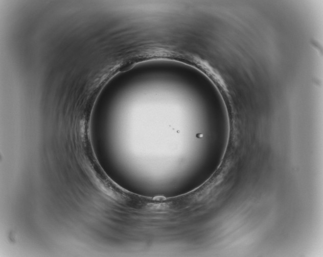 X0000096460057200801241416