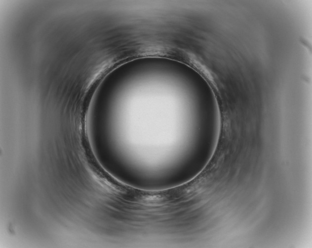 X0000096460059200801241416