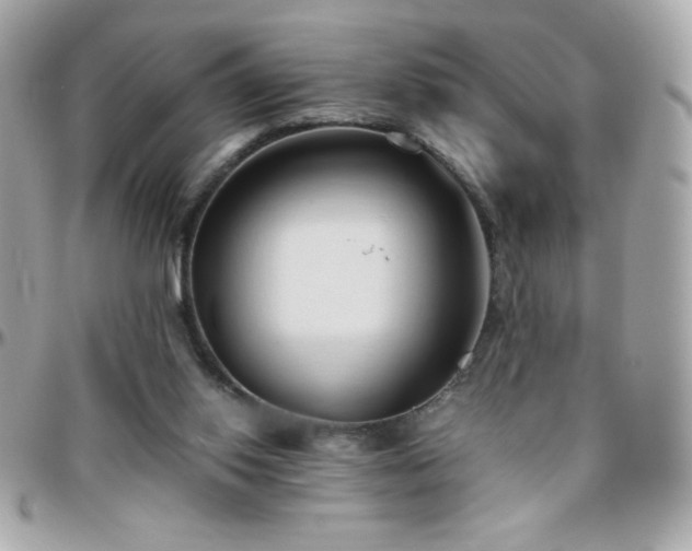 X0000096460062200801241416