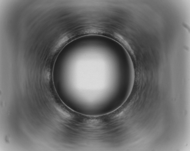 X0000096460063200801241416