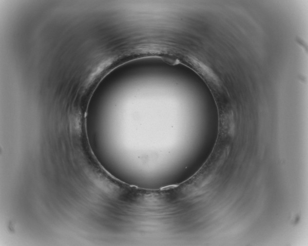 X0000096460064200801241416