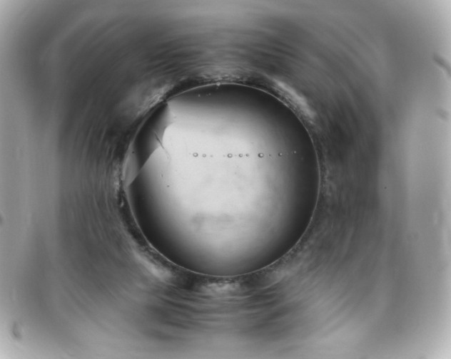 X0000096460065200801241416