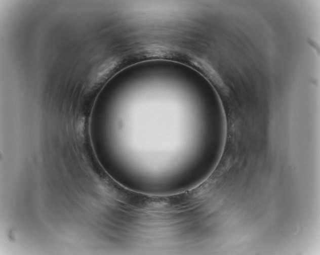 X0000096460066200801241416