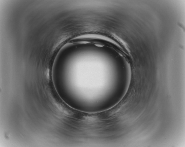 X0000096460067200801241416