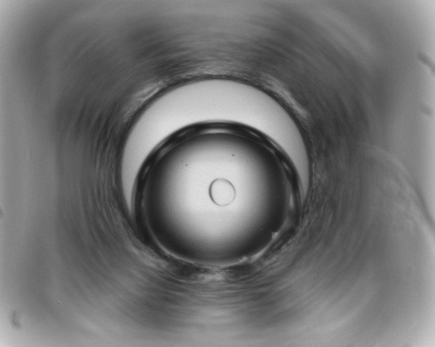 X0000096460068200801241416