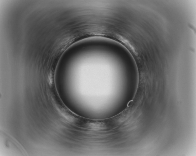 X0000096460069200801241416