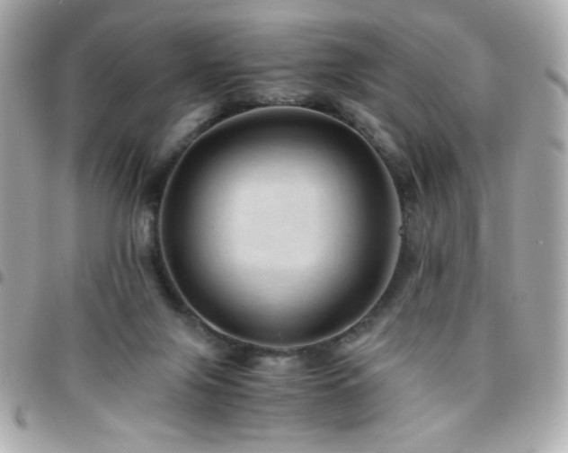 X0000096460071200801241416