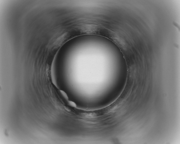 X0000096460073200801241416