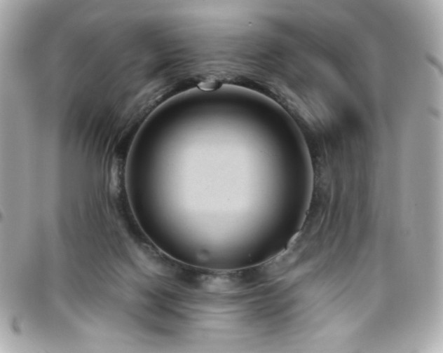 X0000096460074200801241416