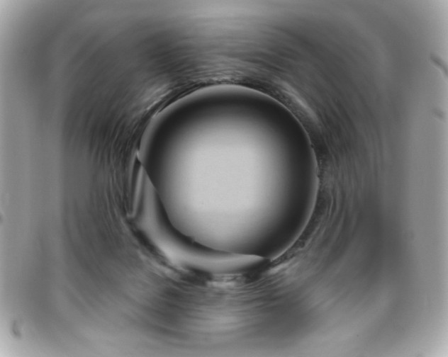 X0000096460076200801241416