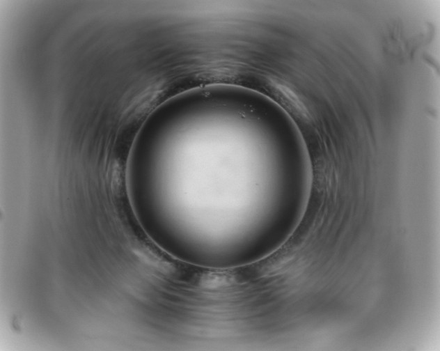 X0000096460077200801241416