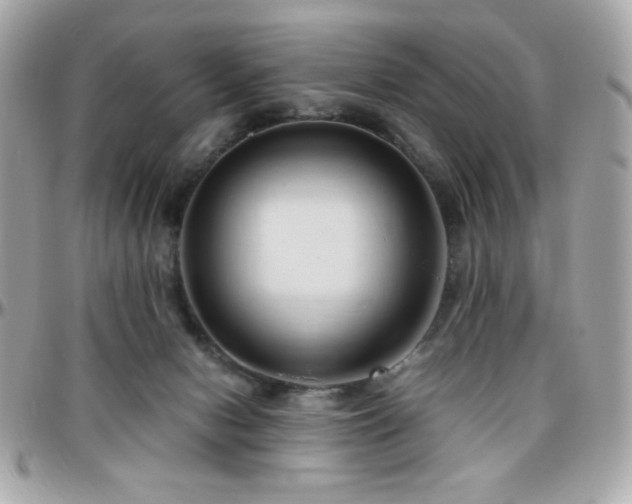 X0000096460078200801241416