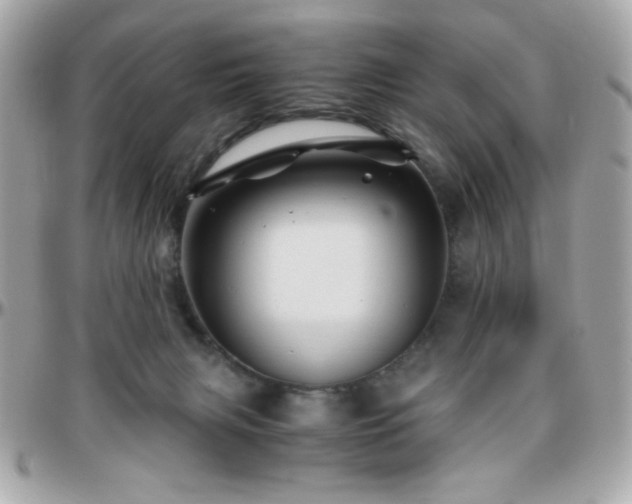 X0000096460079200801241416