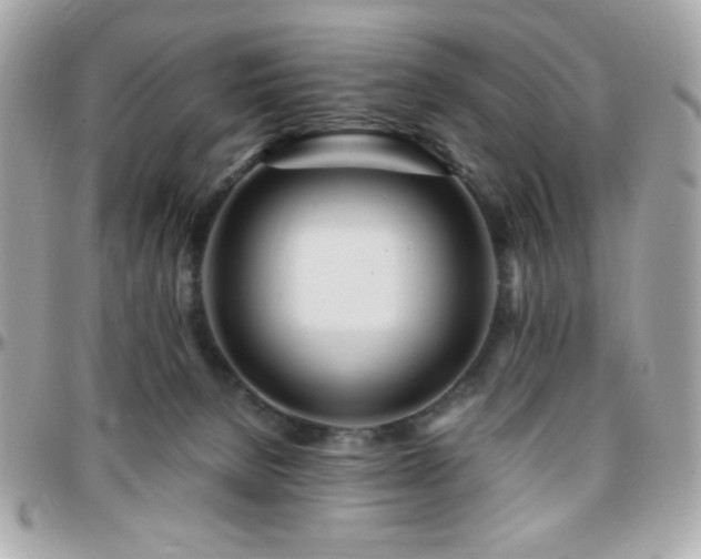 X0000096460080200801241416