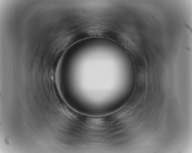 X0000096460081200801241416