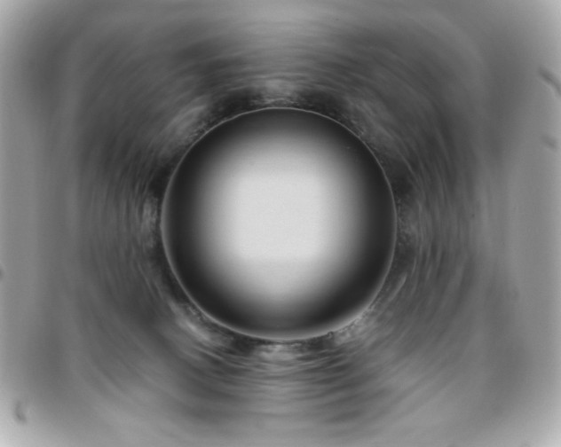 X0000096460082200801241416