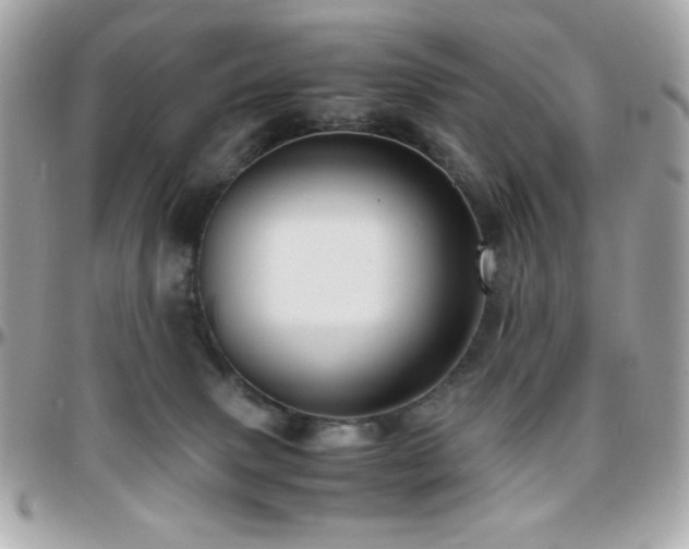 X0000096460083200801241416