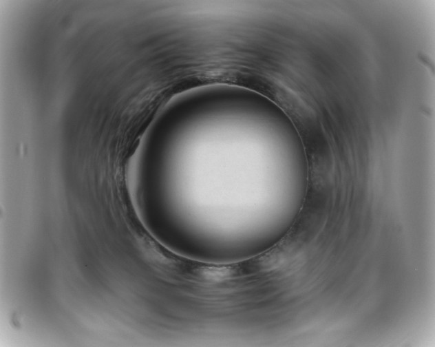X0000096460085200801241416