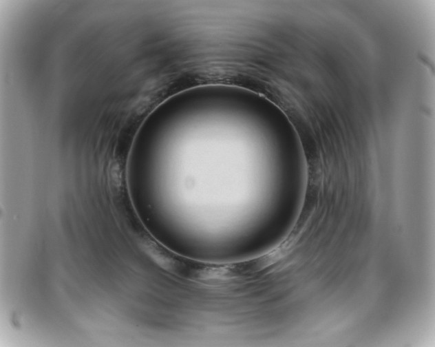 X0000096460086200801241416