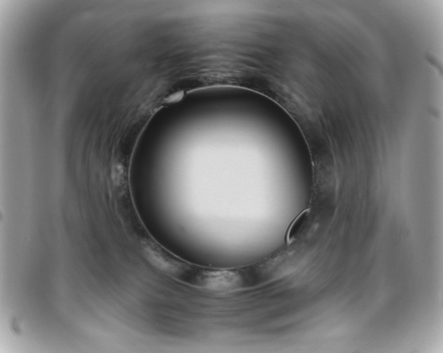 X0000096460087200801241416