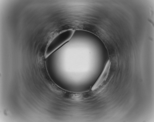X0000096460088200801241416