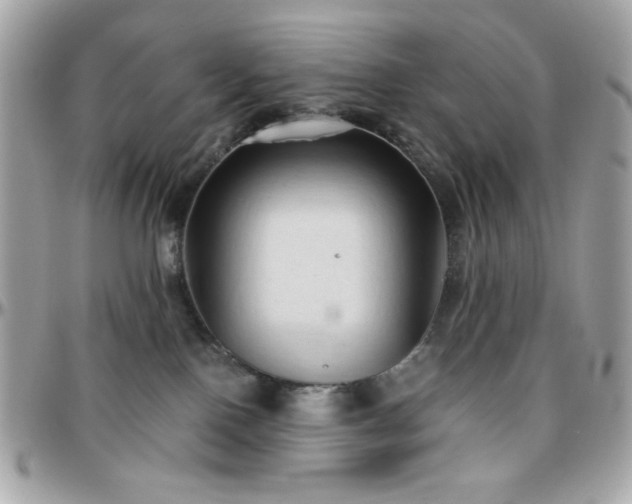 X0000096460090200801241416