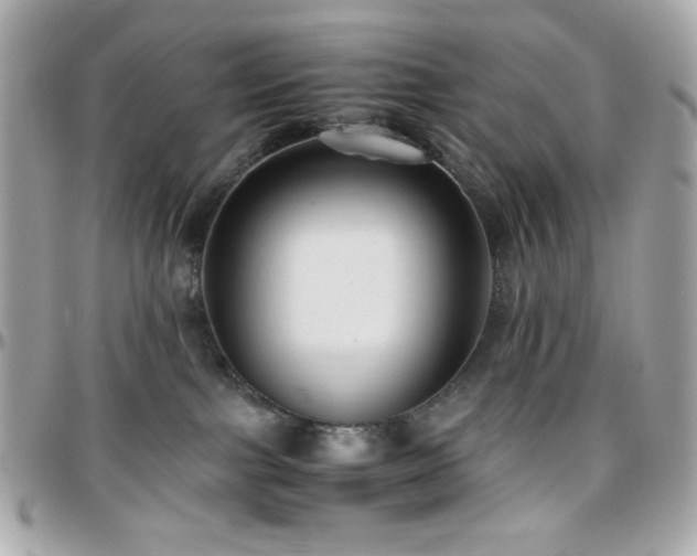 X0000096460091200801241416