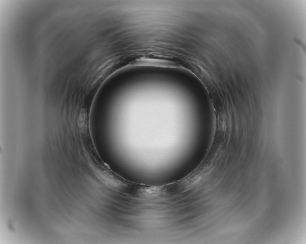 X0000096460092200801241416