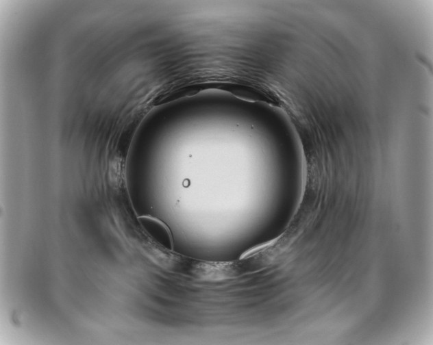X0000096460093200801241416
