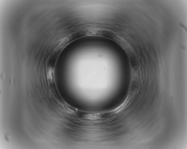 X0000096460094200801241416