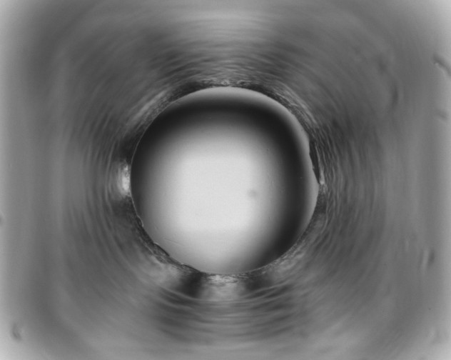X0000096460095200801241416