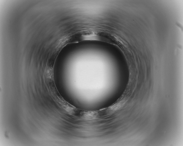 X0000096460096200801241416