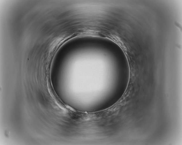 X0000096460097200801241415