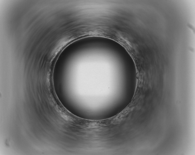 X0000096460098200801241415