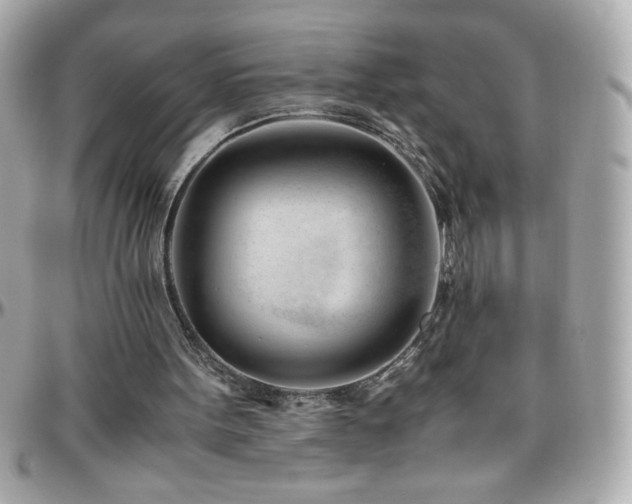 X0000096460099200801241415