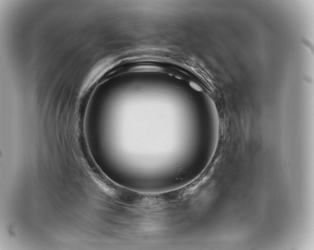 X0000096460101200801241415