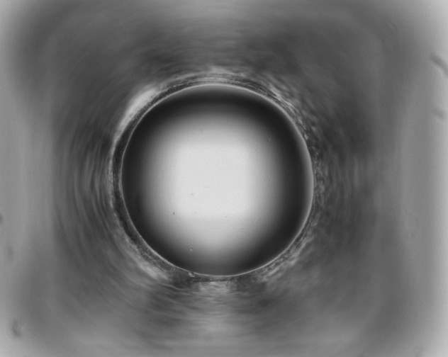 X0000096460102200801241415