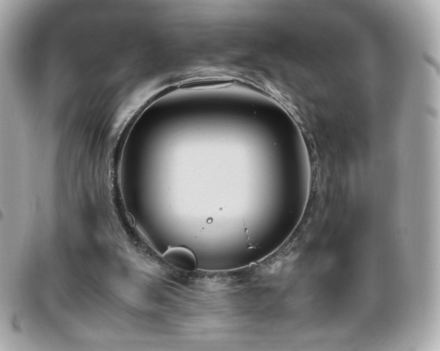X0000096460103200801241415
