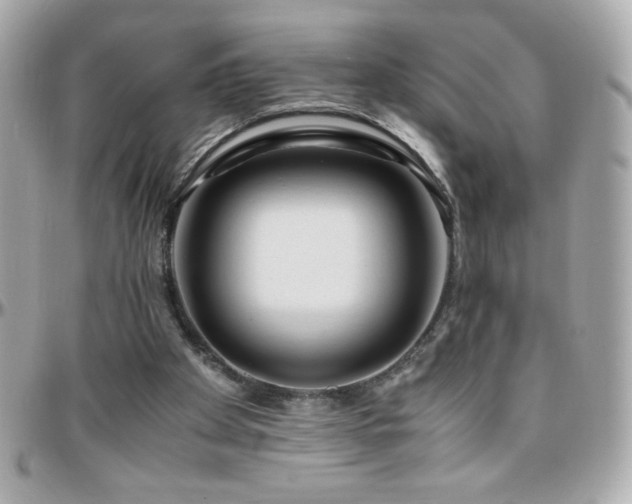 X0000096460105200801241415