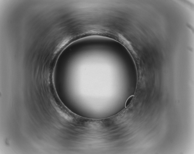 X0000096460106200801241415